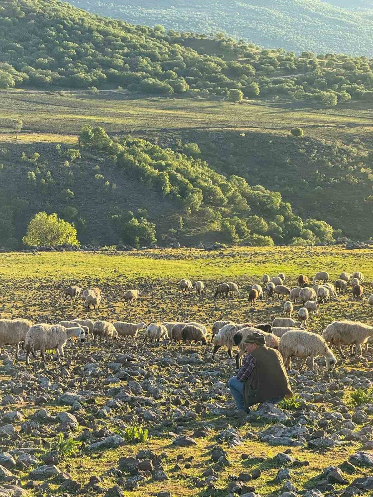 diyarbakirda gocerlerin zorlu yolculugu basladi 4
