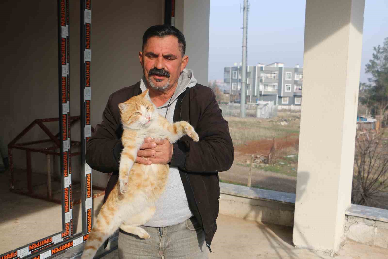 diyarbakirda hayvanlarin sessiz kahramani 2