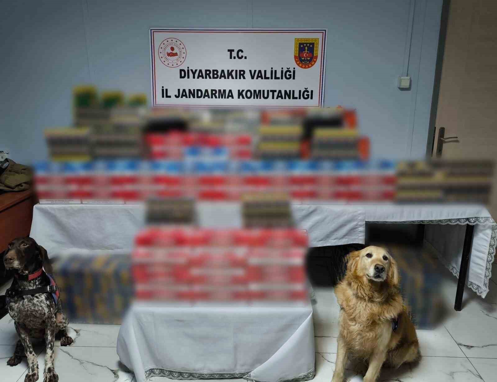 Diyarbakır’da kaçakçılık operasyonları: 91 şüpheli hakkında işlem yapıldı 5 diyarbakirda kacakcilik operasyonlari 91 supheli hakkinda islem yapildi 1 NJQsR1jD