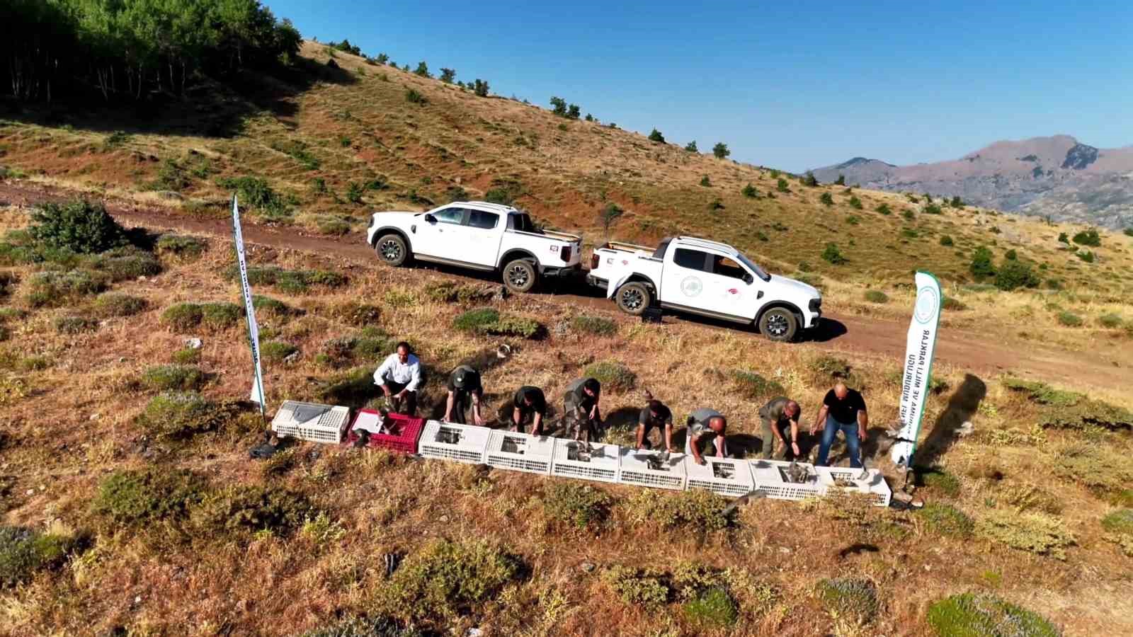 Diyarbakır’da keneye karşı doğal mücadele 4 diyarbakirda keneye karsi dogal mucadele 0 d2QSzdjR