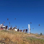 diyarbakirda-keneye-karsi-dogal-mucadele-FHPVyqjS.jpg