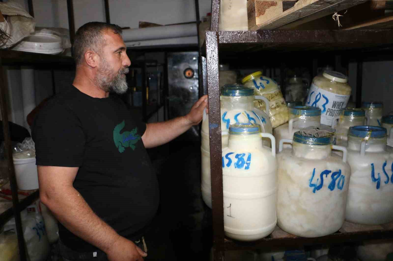 Diyarbakır’da kışlık peynir mesaisi başladı 5 diyarbakirda kislik peynir mesaisi basladi 1 sPjLXhNf