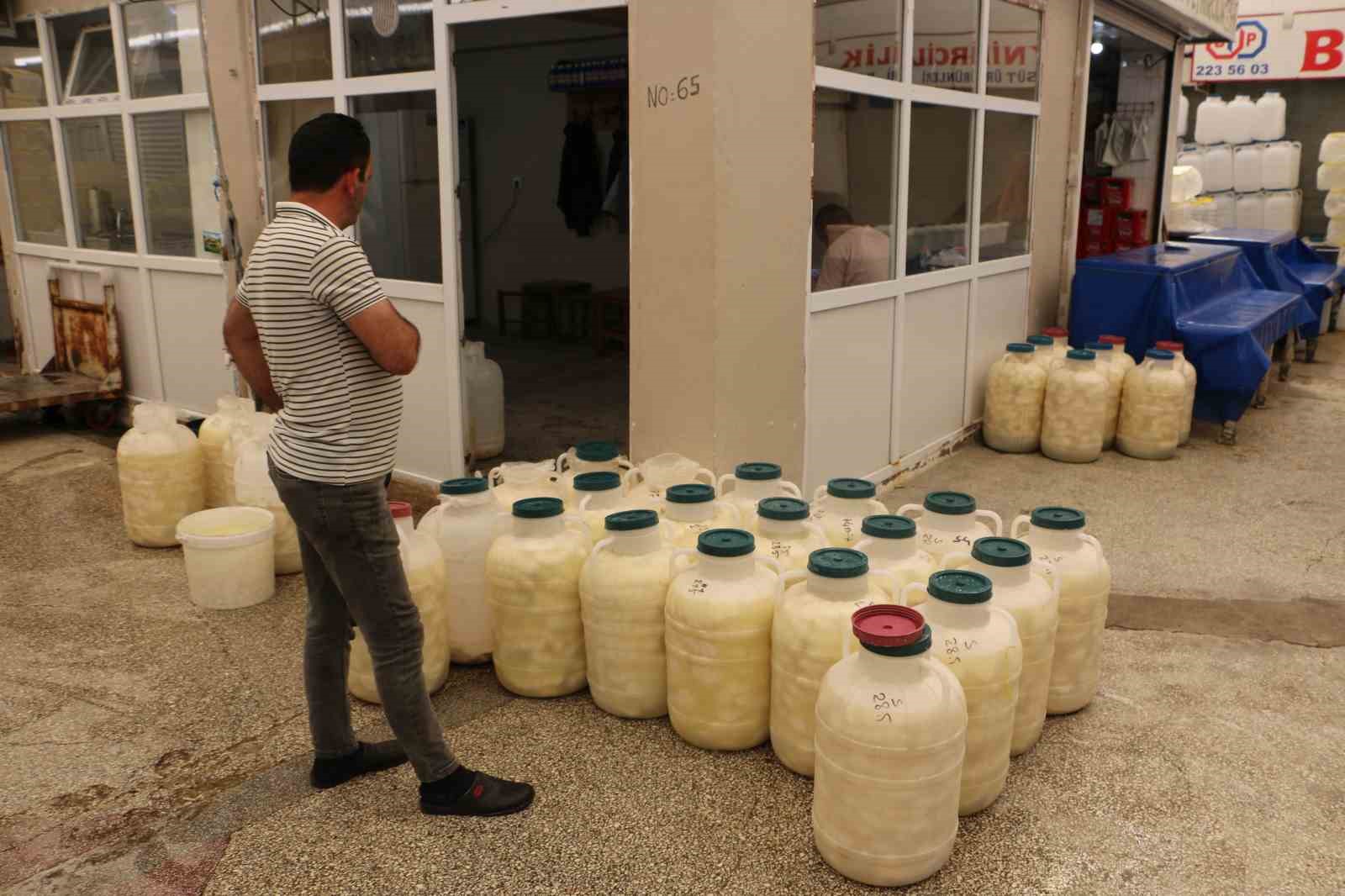 Diyarbakır’da kışlık peynir mesaisi başladı 11 diyarbakirda kislik peynir mesaisi basladi 7 gpBWjPTJ