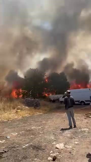 diyarbakirda korkutan yangin yuzlerce donum alan alevlere teslim oldu 0 g7cT4h7i