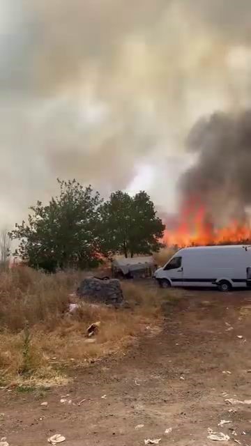 diyarbakirda korkutan yangin yuzlerce donum alan alevlere teslim oldu 1 tSWRspTO