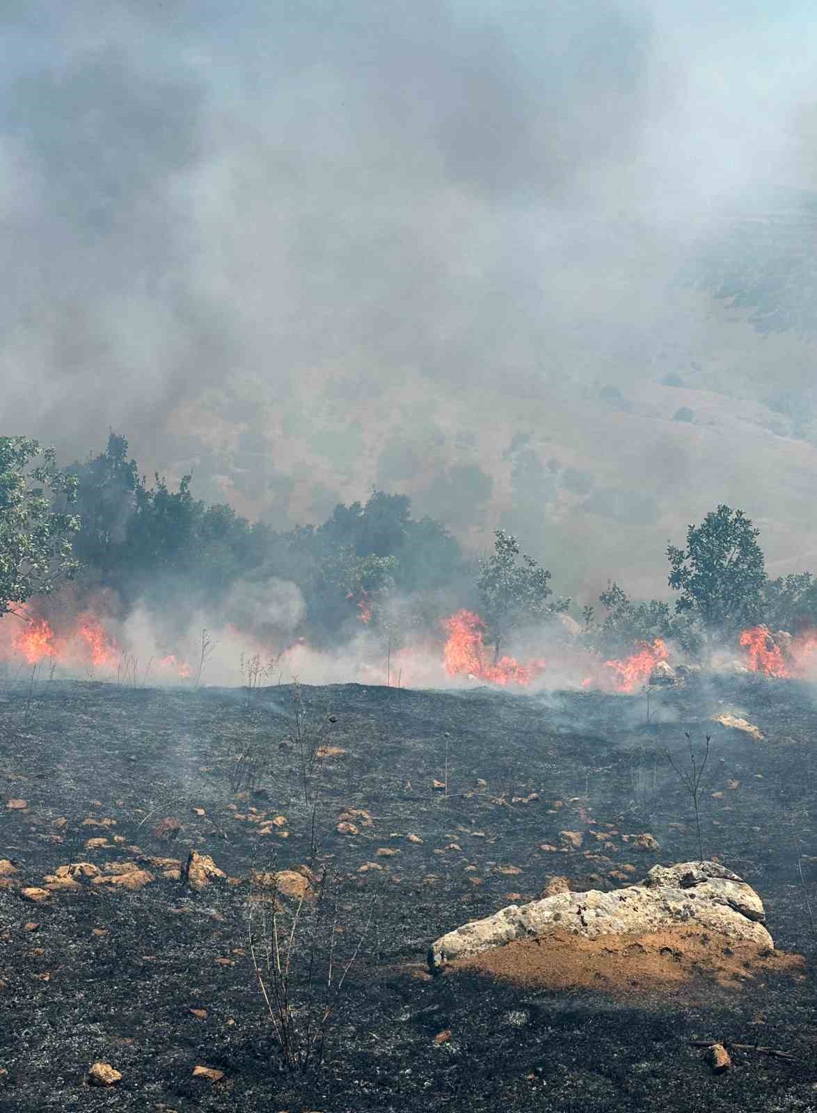 diyarbakirda ortu ve orman yangini 1 rmiYlZfT