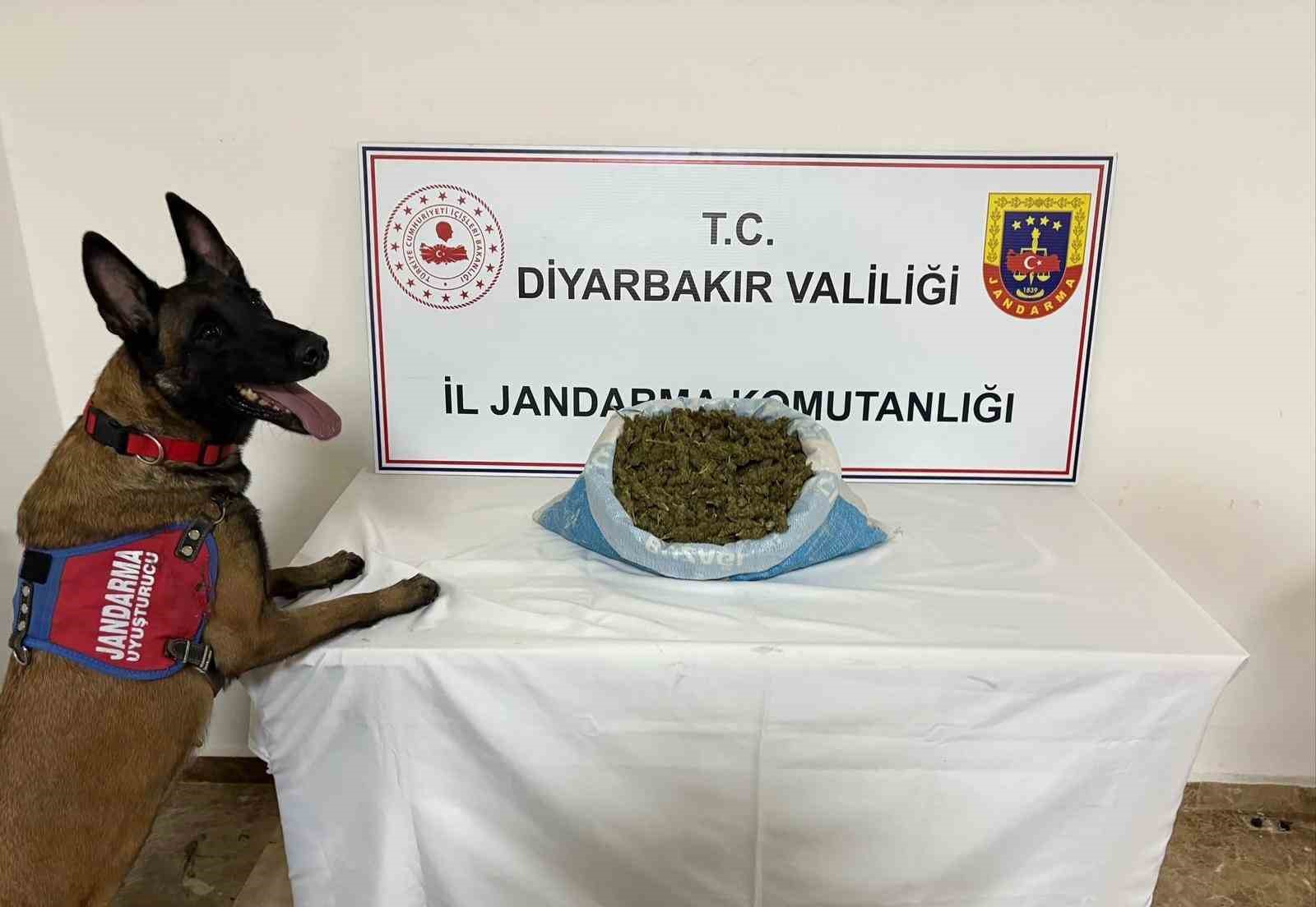 diyarbakirda uyusturucu operasyonu 14 gozalti 0 62FJWF2L