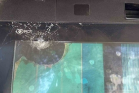 Namaza gelen cemaat karşılaştıkları yılanı önce oyuncak sandı, hareket edince telefona sarıldı 2 thumbnail