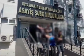 Harran’da yüzlerce dönümlük ekili arazi yandı 2 thumbnail