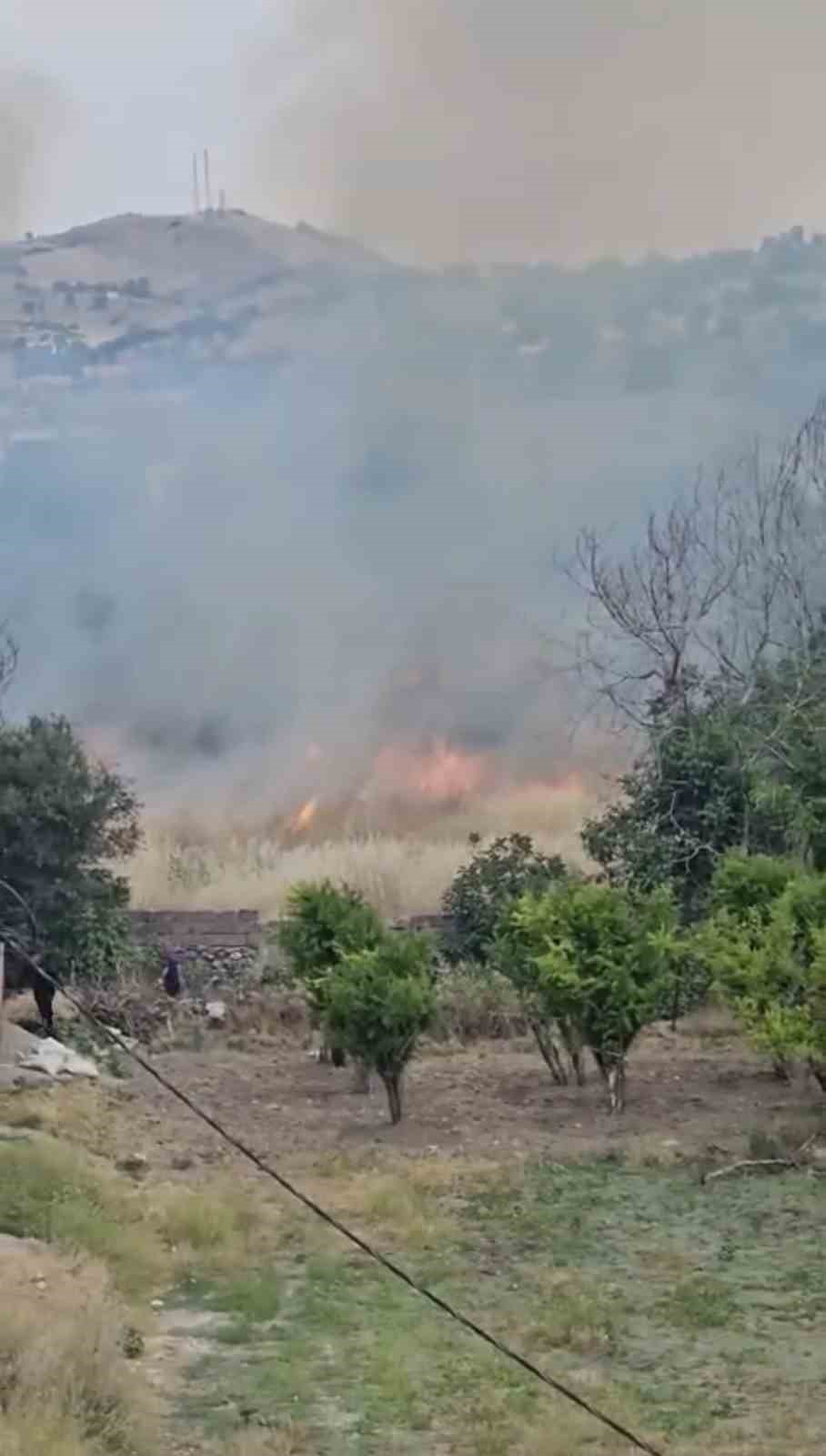 Diyarbakır’da yerleşim alanında çıkan yangın paniğe neden oldu 5 diyarbakirda yerlesim alaninda cikan yangin panige neden oldu 1