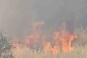 Kar kalınlığının 5 metreyi bulduğu Mereto Dağı’na bahar yeni geldi 1 thumbnail
