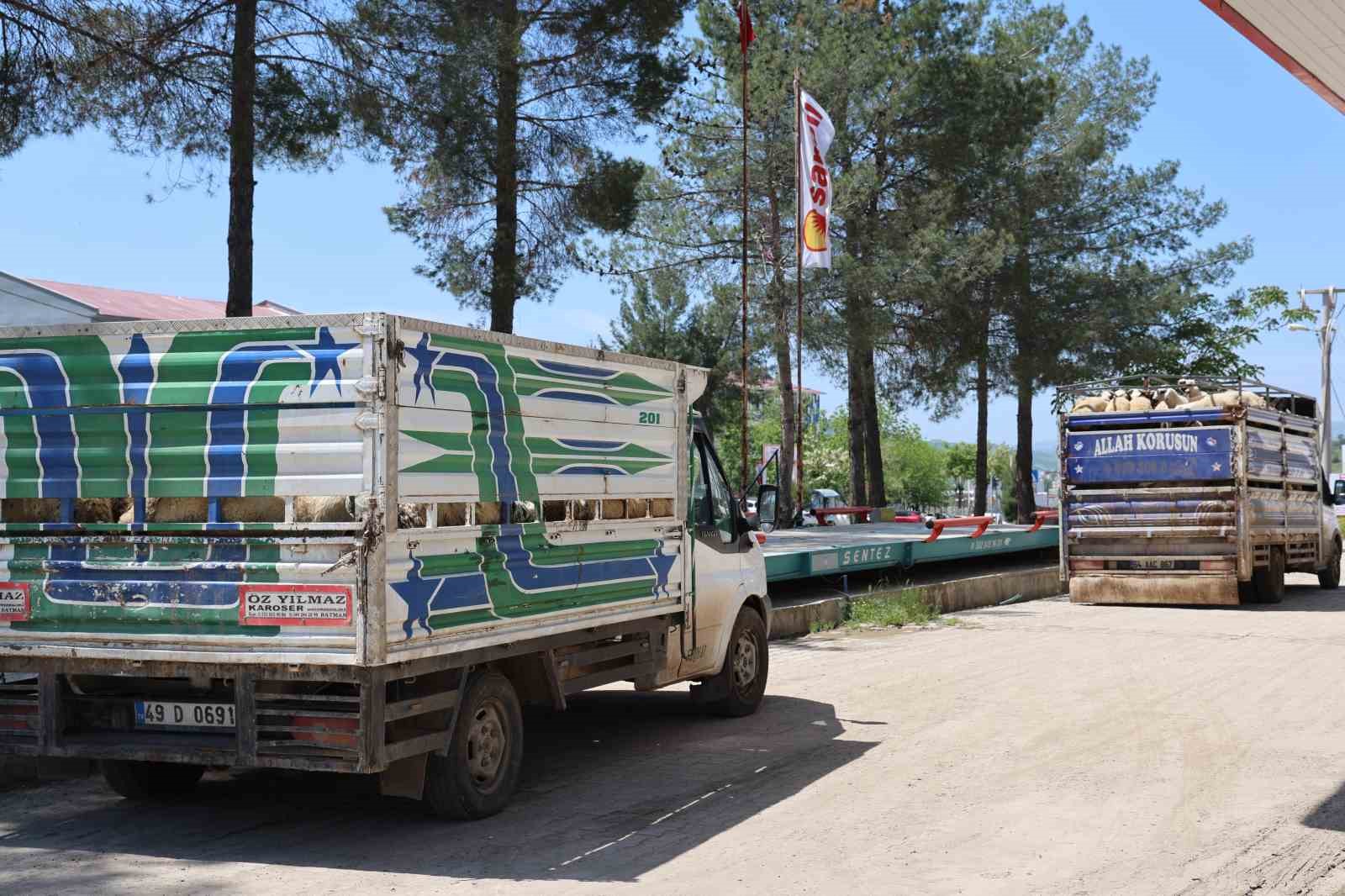 diyarbakirdan sehir disina kurbanlik sevki devam ediyor 6 d3U3WZ7w