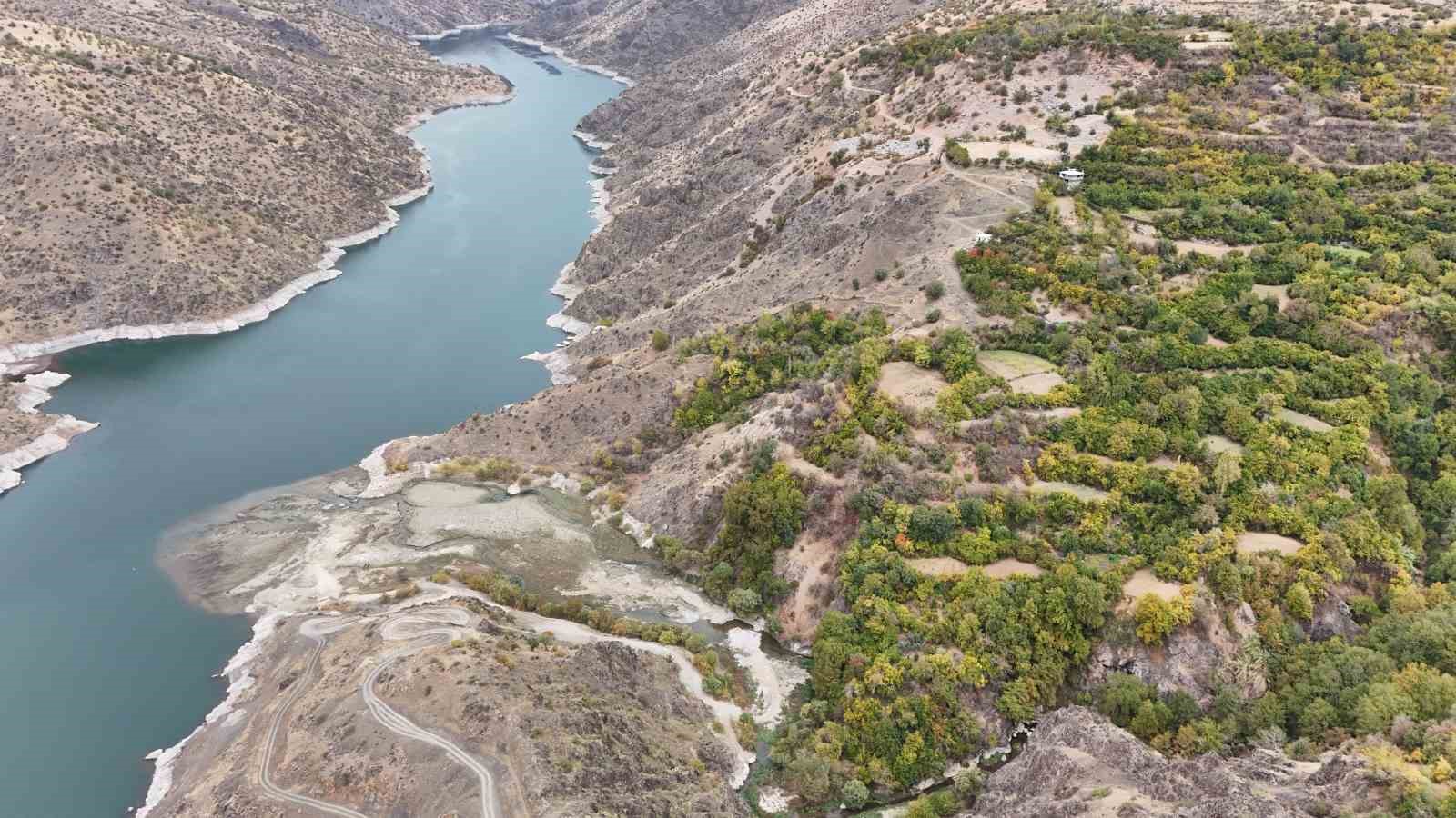 diyarbakirin bu koyunde ne eksen onu biciyorsun 12 TwQUPyq1