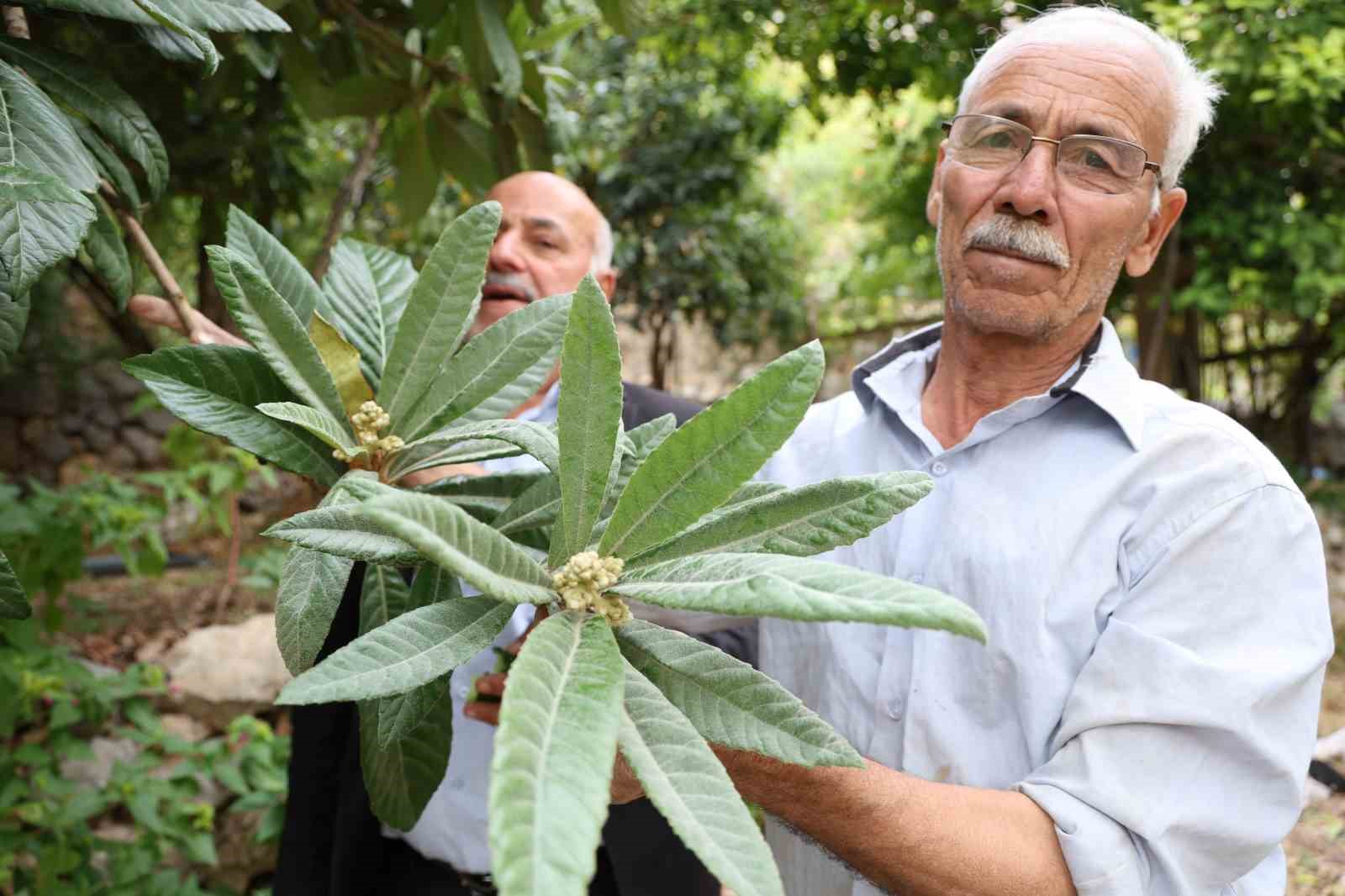 diyarbakirin bu koyunde ne eksen onu biciyorsun 2 9TEG28PQ