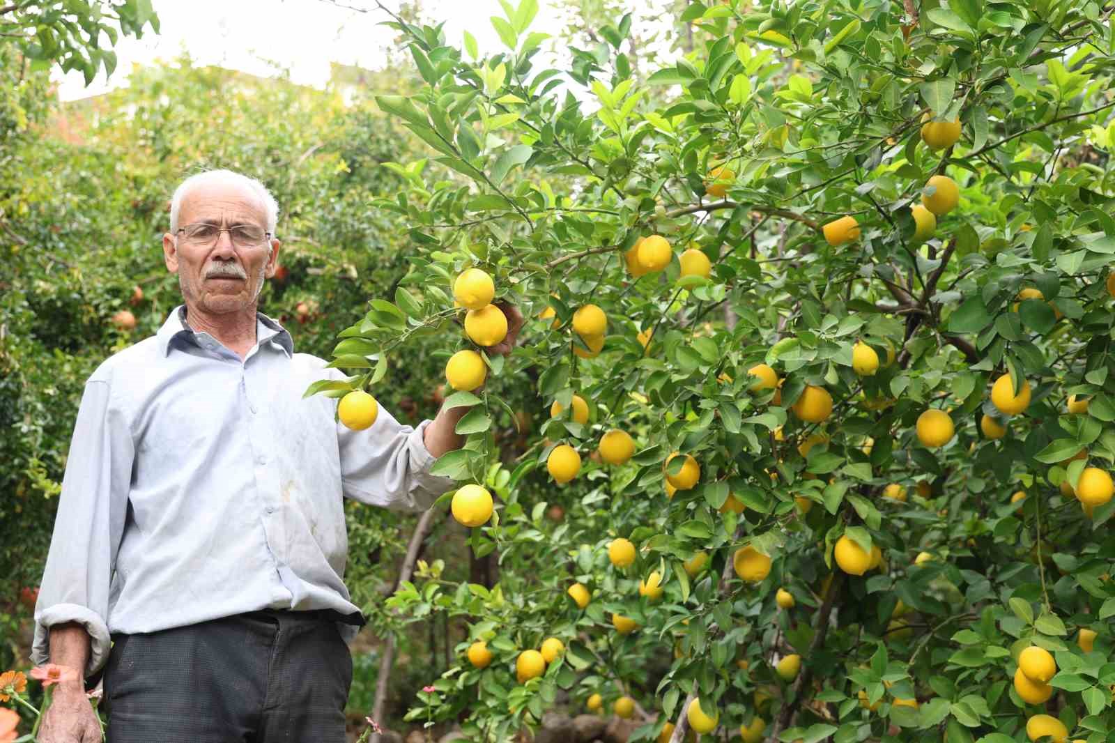 diyarbakirin bu koyunde ne eksen onu biciyorsun 4