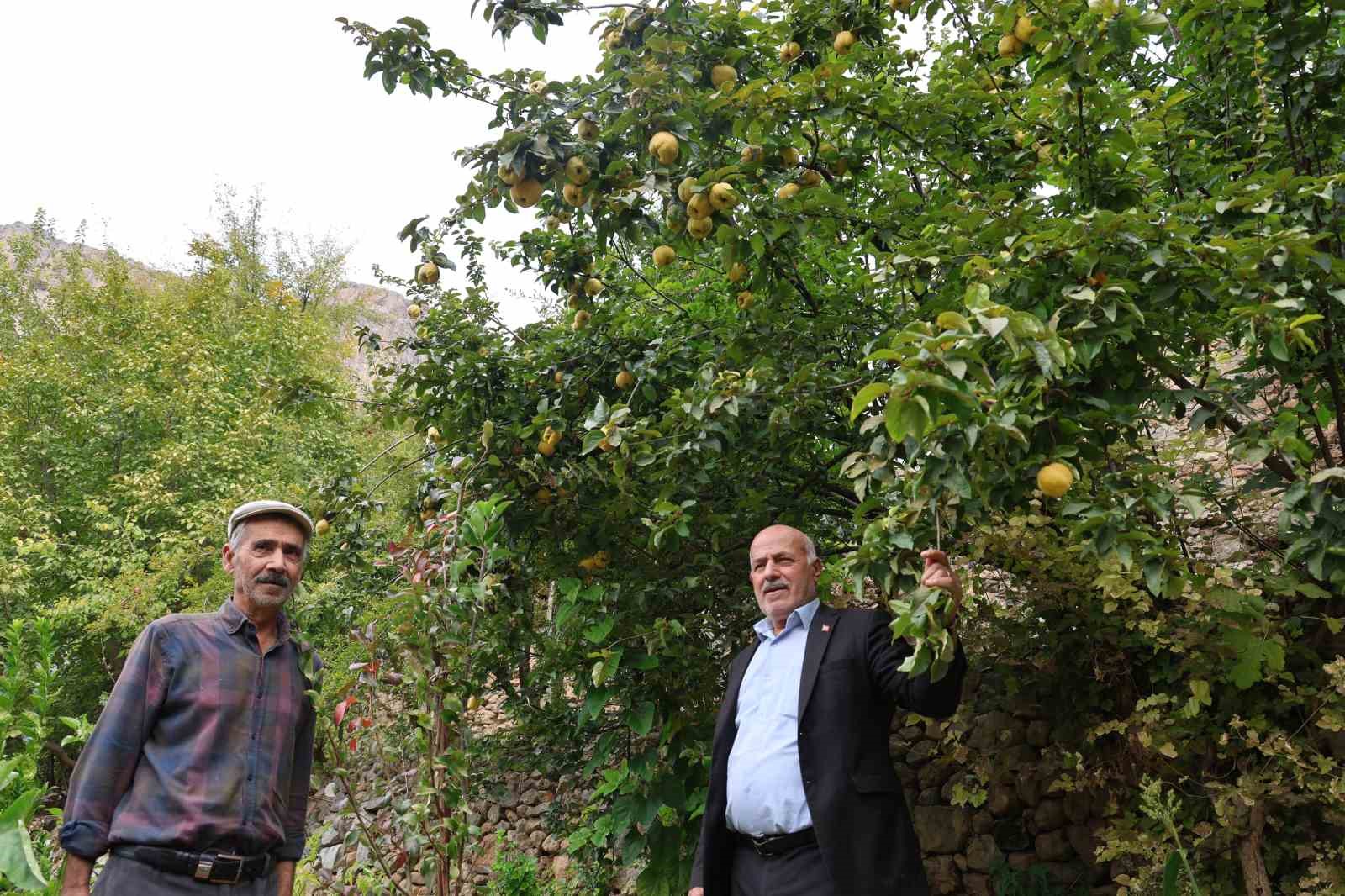 diyarbakirin bu koyunde ne eksen onu biciyorsun 8 GtaC4ATQ