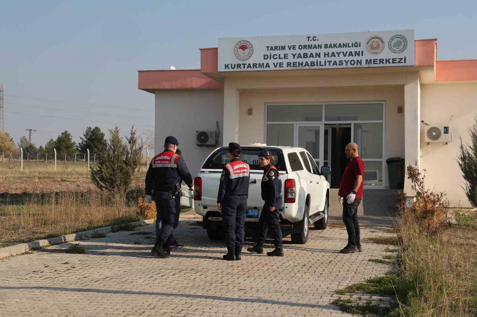 diyarbakirin ekolojik dengesi cevre ve dogal hayati koruma kismi tarafindan korunuyor 3