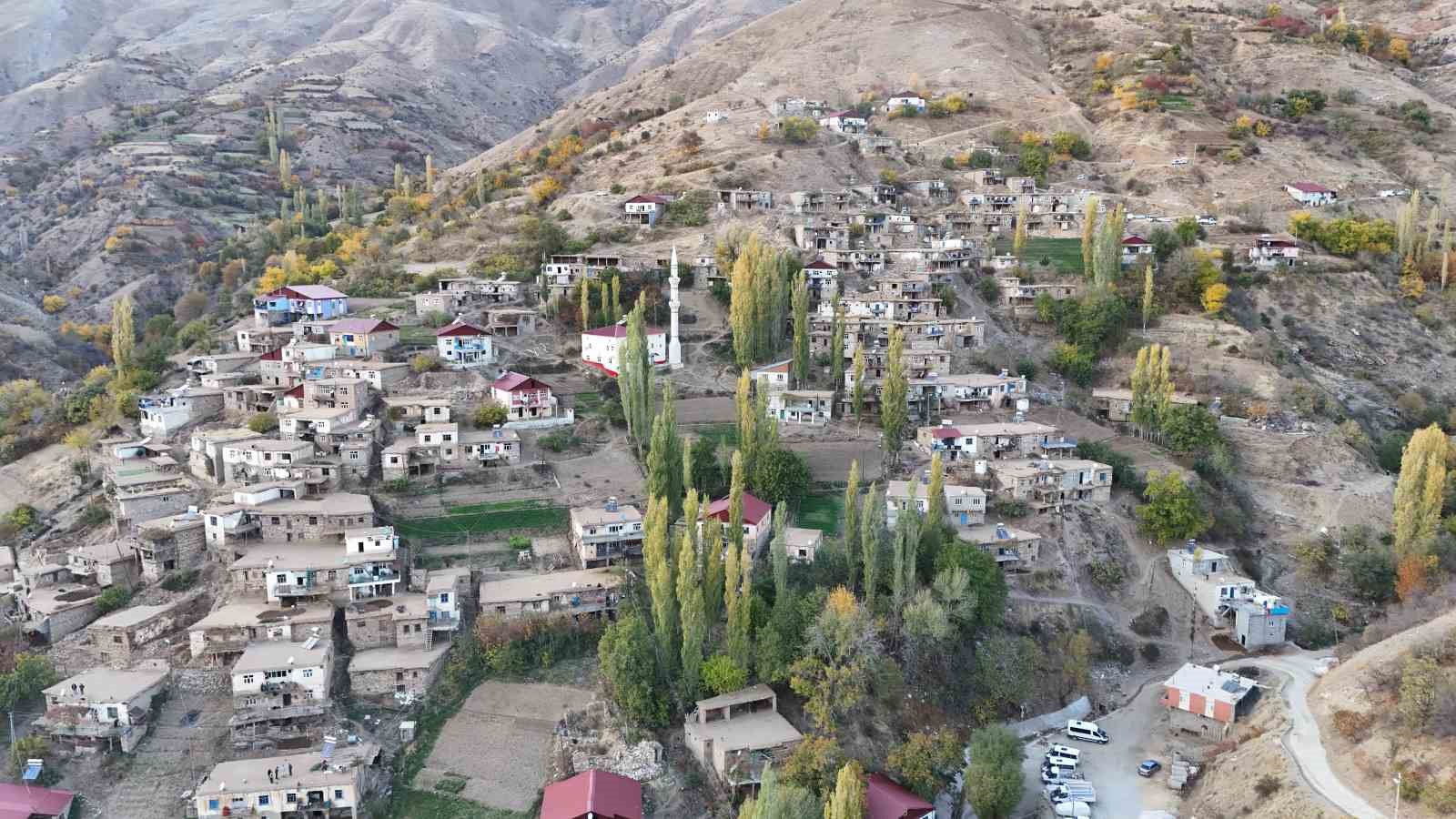 diyarbakirin kirsal mahallesinde yukler eseklerle evlere goturuluyor 4 EaBUSlk2