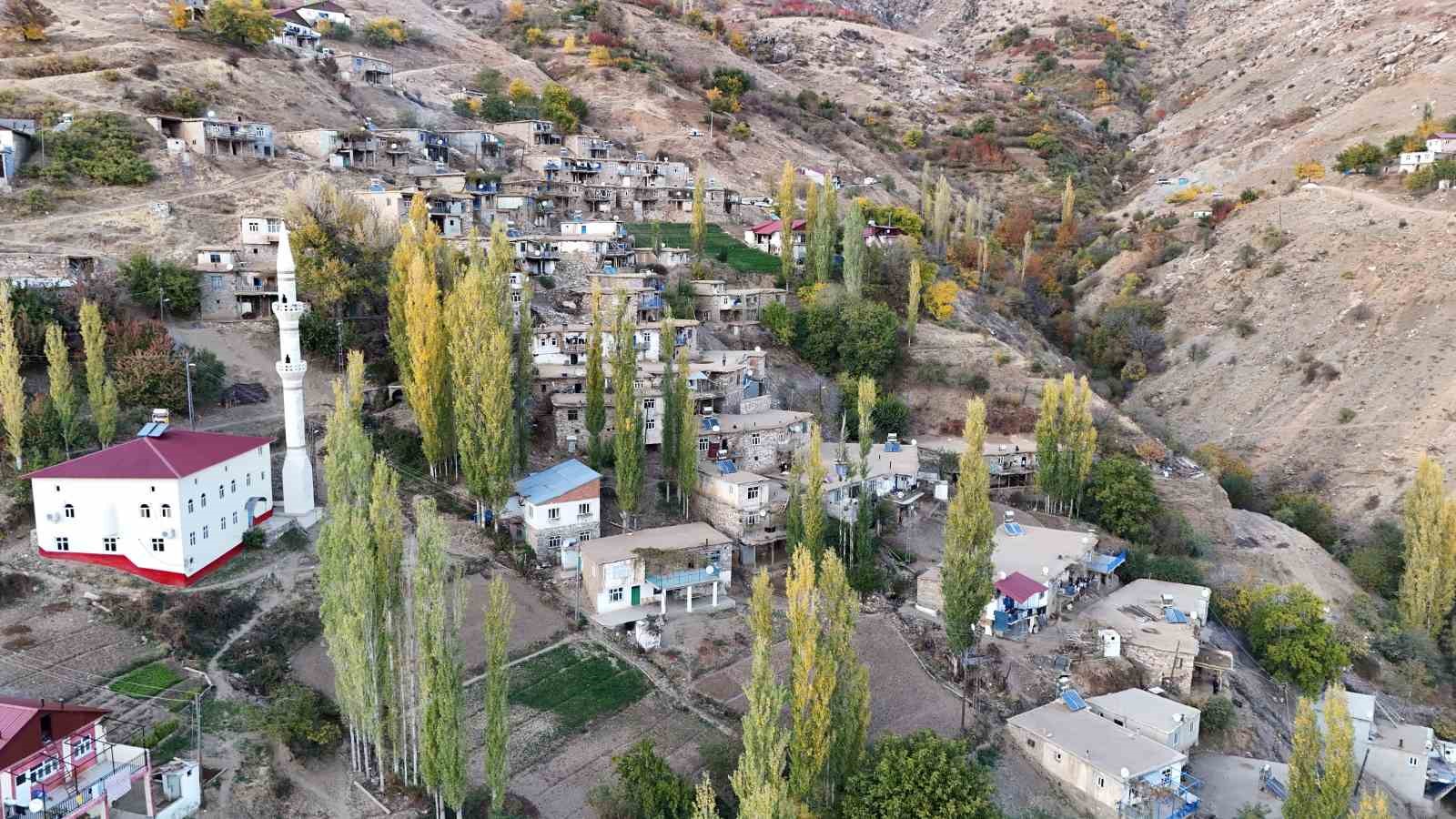 diyarbakirin kirsal mahallesinde yukler eseklerle evlere goturuluyor 5 Lsf8Us1P