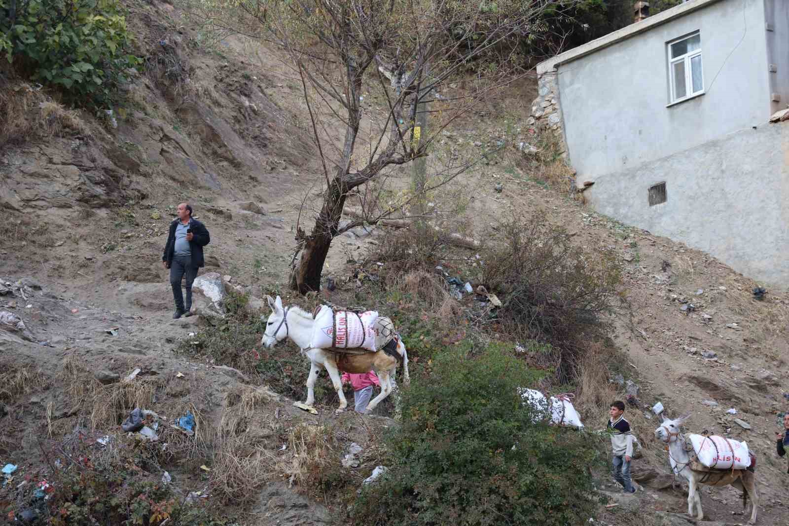 diyarbakirin kirsal mahallesinde yukler eseklerle evlere goturuluyor 7 aHJwaepg