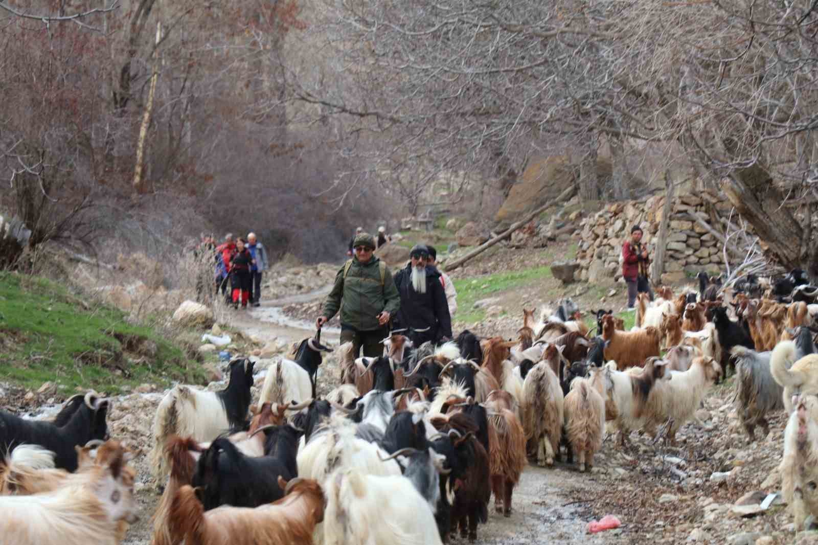 doga tutkunlarinin bahar yuruyusu 1 faJ873be
