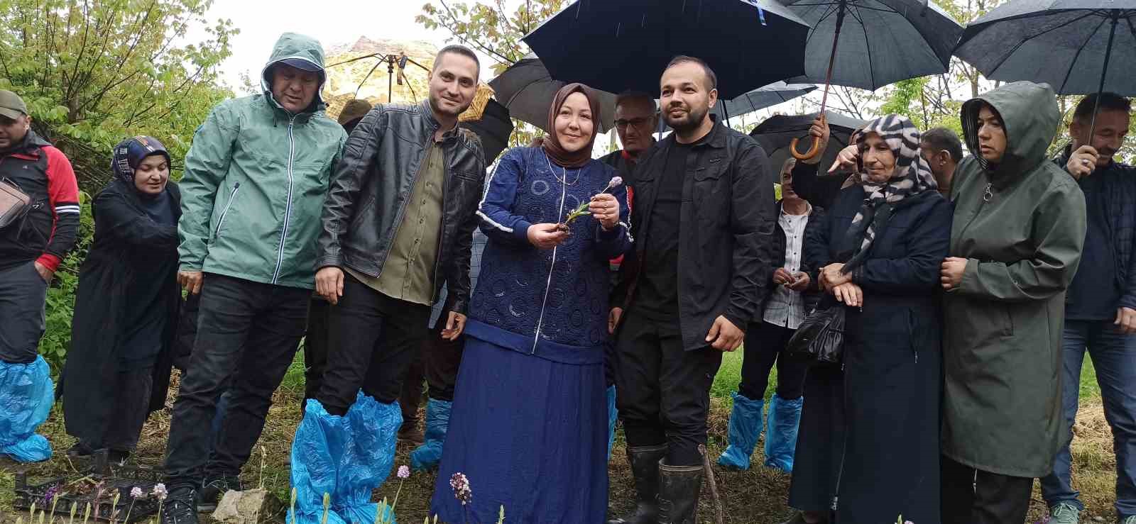 doga yuruyusunde buldugu salep orkidesi hayatini degistirdi 60 bin fideyle salep ureticisi oldu 2 ElqbIBKz