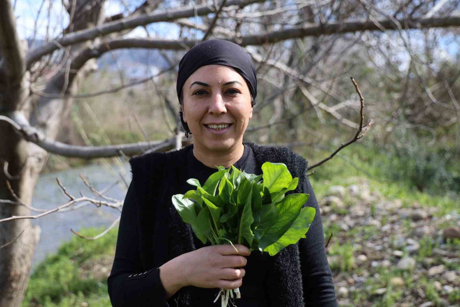 dogadaki zehirli ot kara kazanda sifaya donusuyor 3 FKJY4AdR