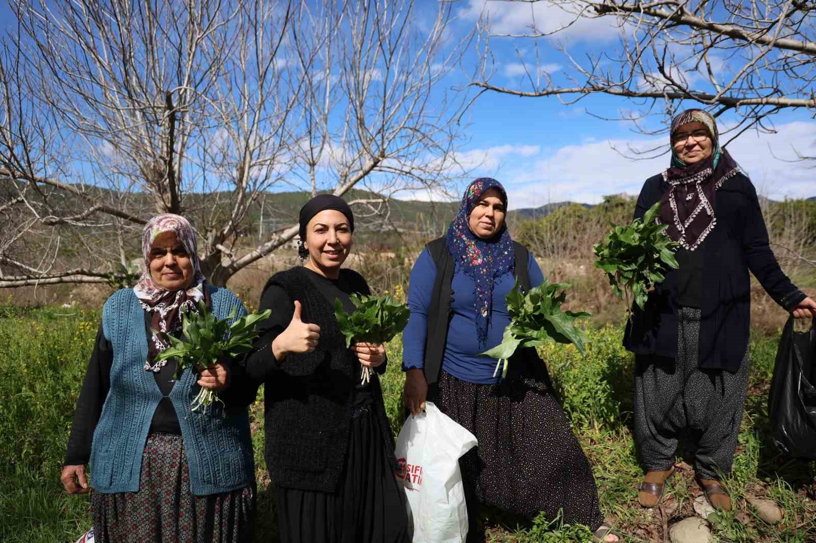 dogadaki zehirli ot kara kazanda sifaya donusuyor 4 SRwRjW24