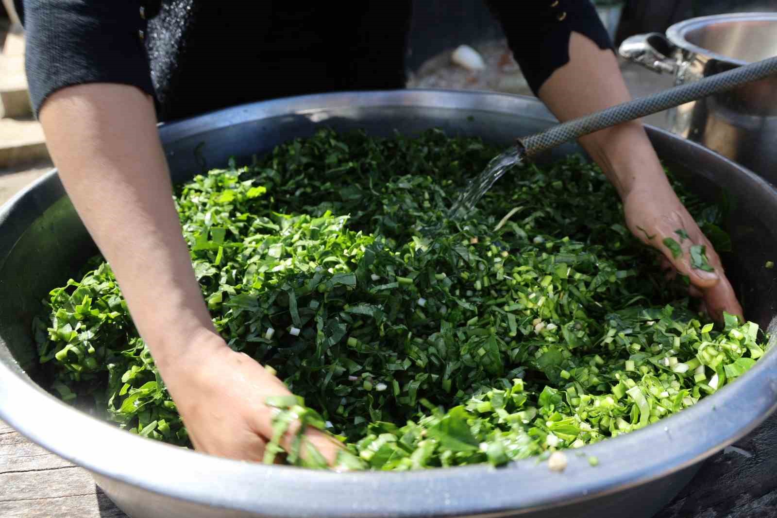 dogadaki zehirli ot kara kazanda sifaya donusuyor 5 MElcPG8F