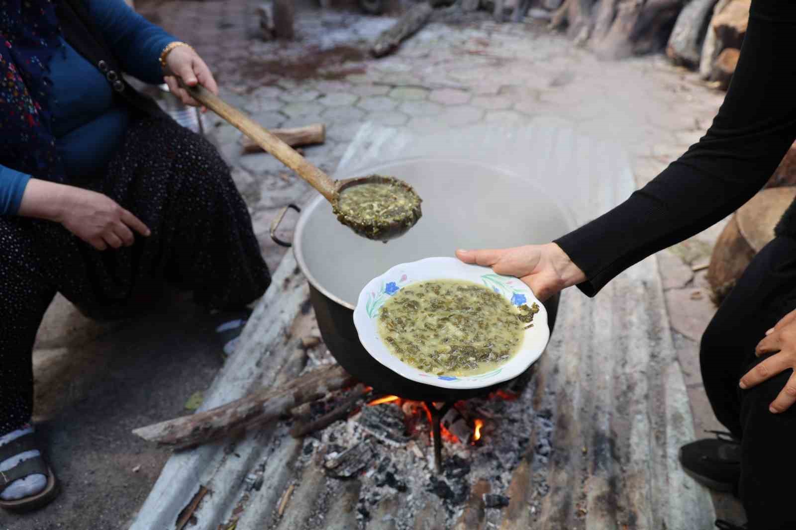 dogadaki zehirli ot kara kazanda sifaya donusuyor 6 LrzmOeEQ