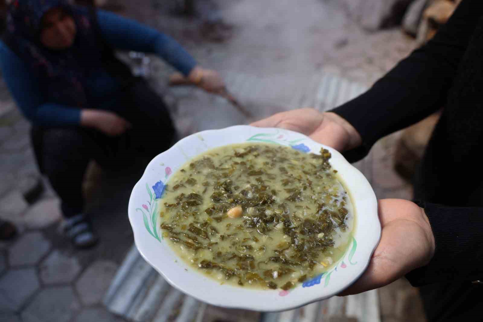dogadaki zehirli ot kara kazanda sifaya donusuyor 7