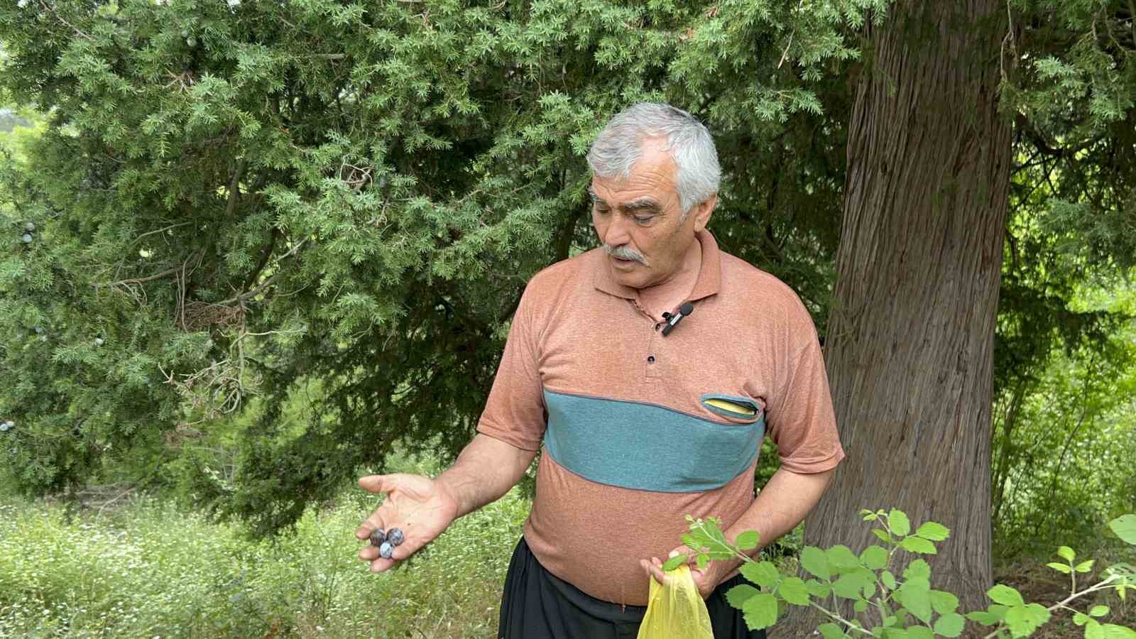 Doğadan topladığı andız çekirdeklerini koleksiyonluk tespihlere dönüştürüyor 4 dogadan topladigi andiz cekirdeklerini koleksiyonluk tespihlere donusturuyor 0 17DlrX8H