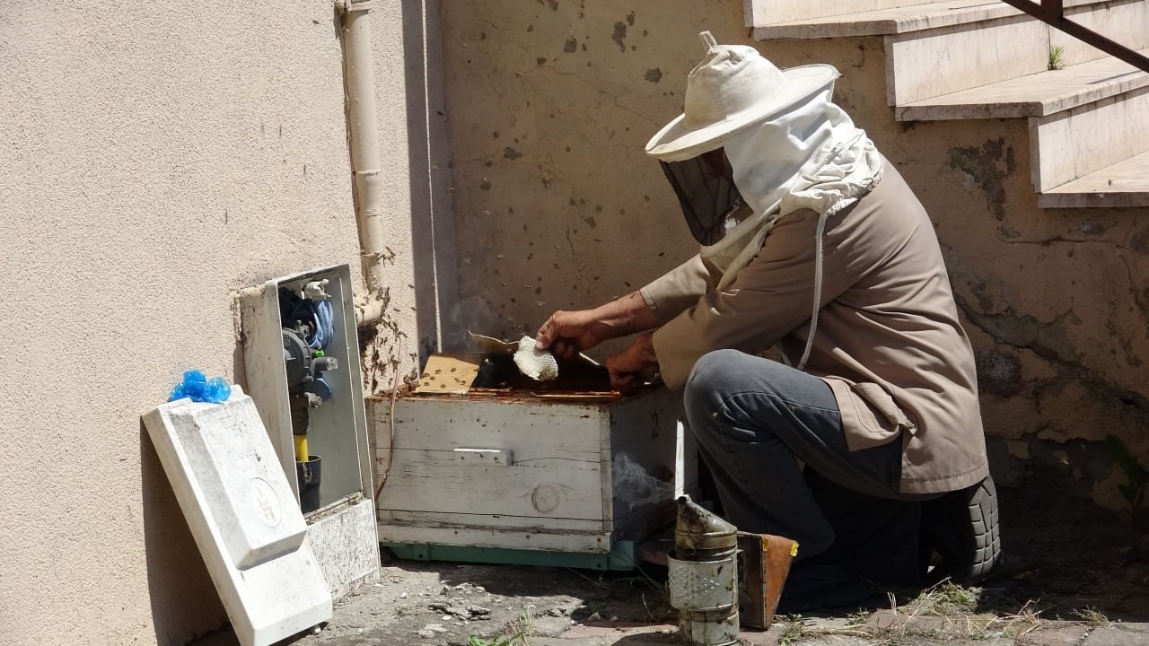 dogal gaz kutusuna yuva yapan arilar tedirgin etti 2