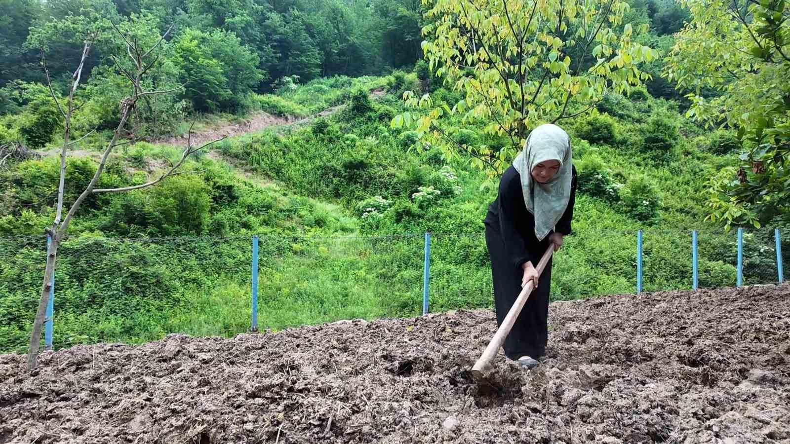 Doğaya aşık üretici kadının başarı hikayesi 7 dogaya asik uretici kadinin basari hikayesi 3 iriJMWr7