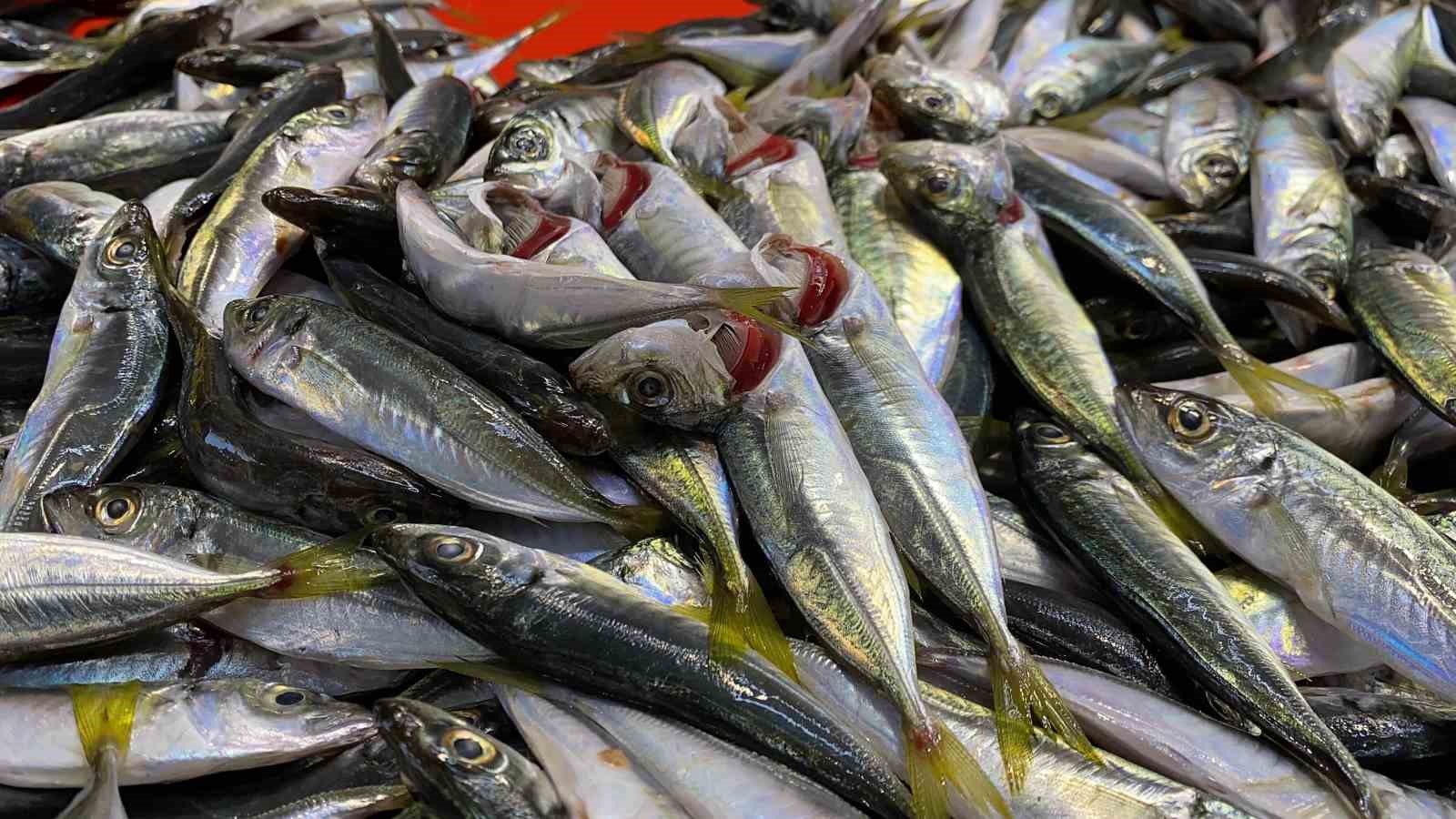 dogru bilinen yanlisi uzmani acikladi gozune bakip tazeligini anlarim diyen yalan soyler 1