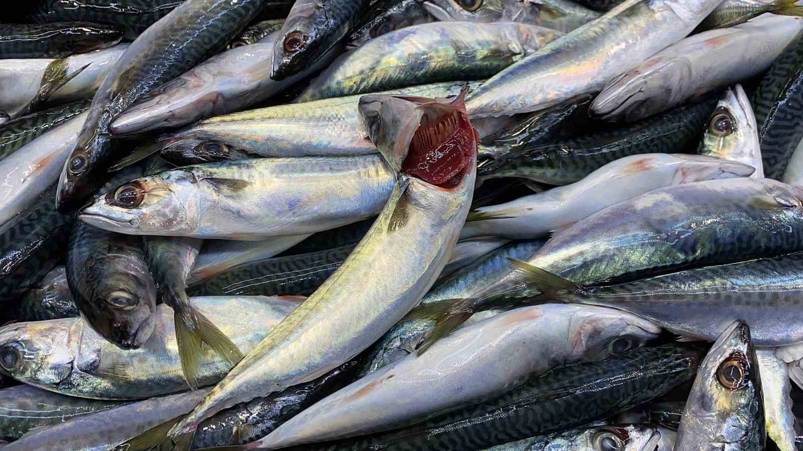 dogru bilinen yanlisi uzmani acikladi gozune bakip tazeligini anlarim diyen yalan soyler 3 PlIY5qnt