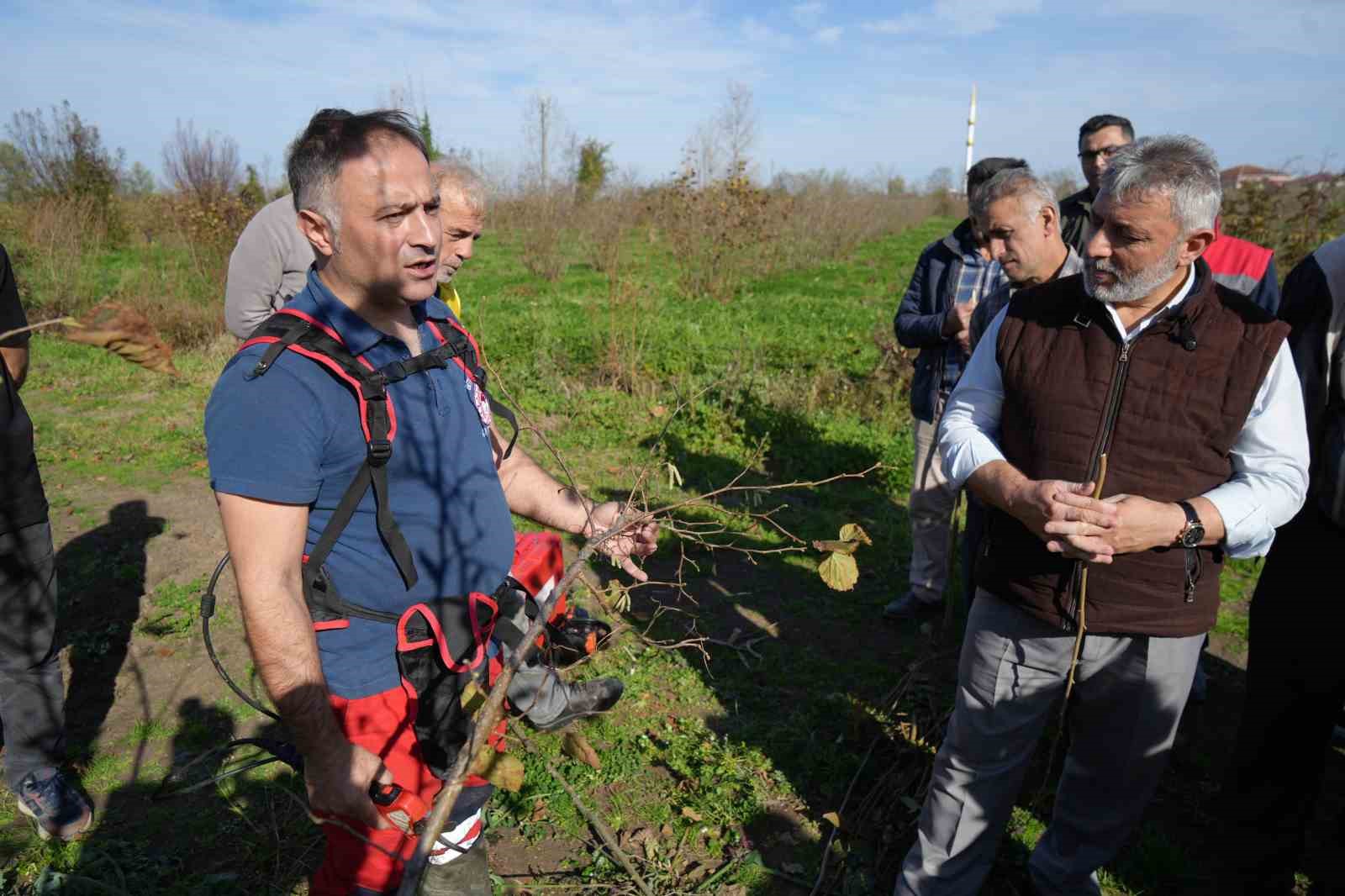 dogru budama ile 500 metrekareden alinan findik 10 donumluk bahceden alinan findigi solluyor 12 YSQdmtAB