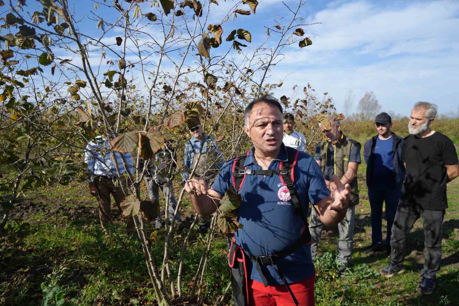 dogru budama ile 500 metrekareden alinan findik 10 donumluk bahceden alinan findigi solluyor 2 O6ZSFmFR