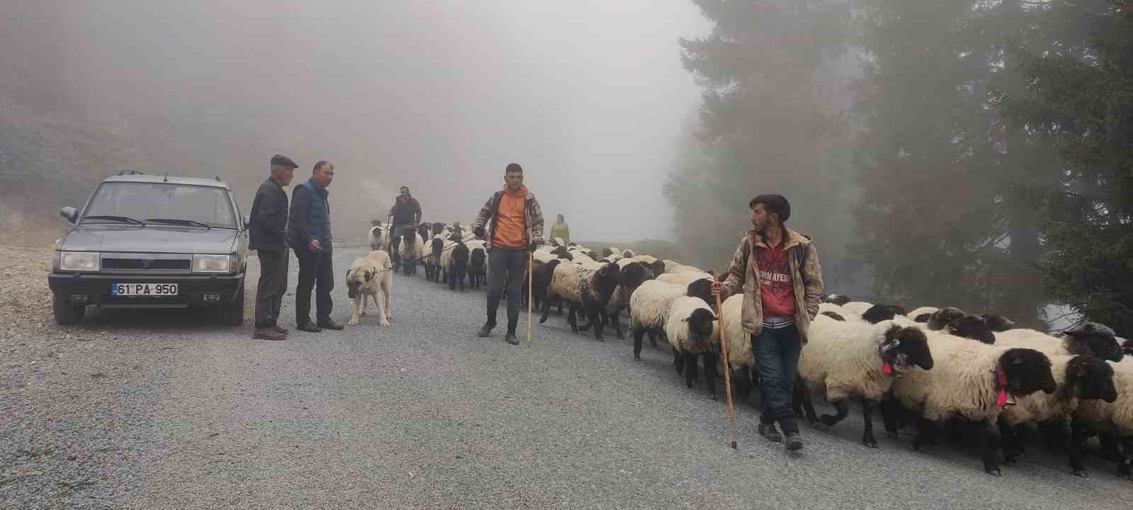 Doğu Karadeniz’de yaylalardan dönüşler hızlandı 8 dogu karadenizde yaylalardan donusler hizlandi 4 cMNCK8wH