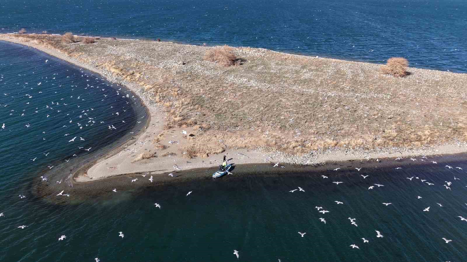 dogunun gizli denizinde sefkat eli polis ekipleri marti ve tavsanlari unutmadi 1 wW5ZebDj