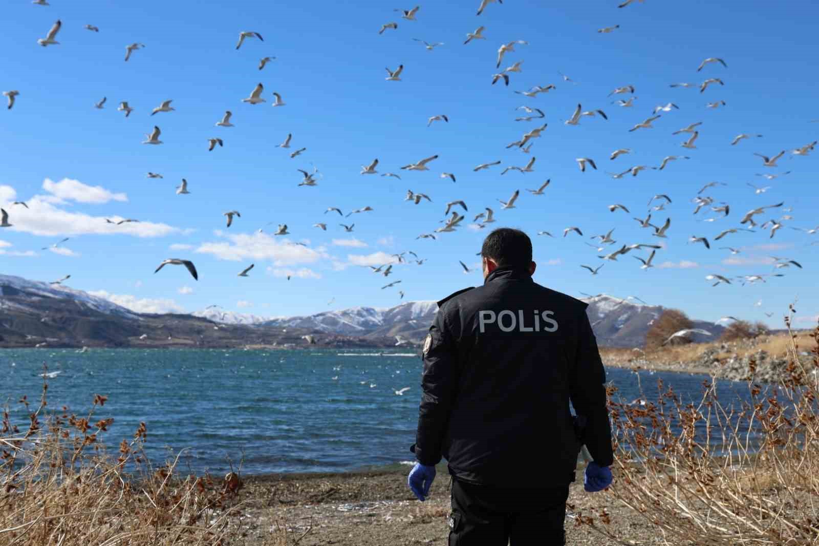 dogunun gizli denizinde sefkat eli polis ekipleri marti ve tavsanlari unutmadi 9