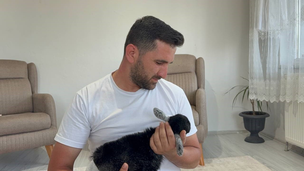 dogustan engelli yavru keciyi sahiplenip evlatlari gibi buyutuyorlar 4