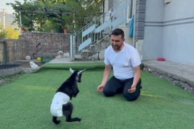 Ankara’da Tarihi Kırılma: Özgür Özel ve Ekrem İmamoğlu’ndan "Yeni Parti" Hamlesi! B Planı "İstiklal Partisi" mi? 3 thumbnail
