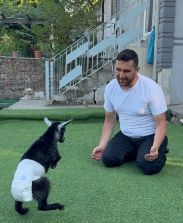 dogustan-engelli-yavru-keciyi-sahiplenip-evlatlari-gibi-buyutuyorlar-cBZWOOLU.jpg