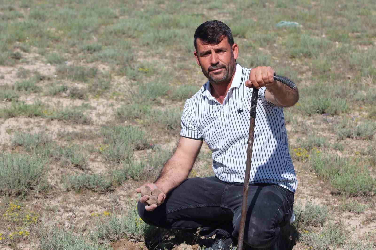 dolaman kurdu gunde 60 bin liralik mantar buluyor 1 lAAgOzJ1