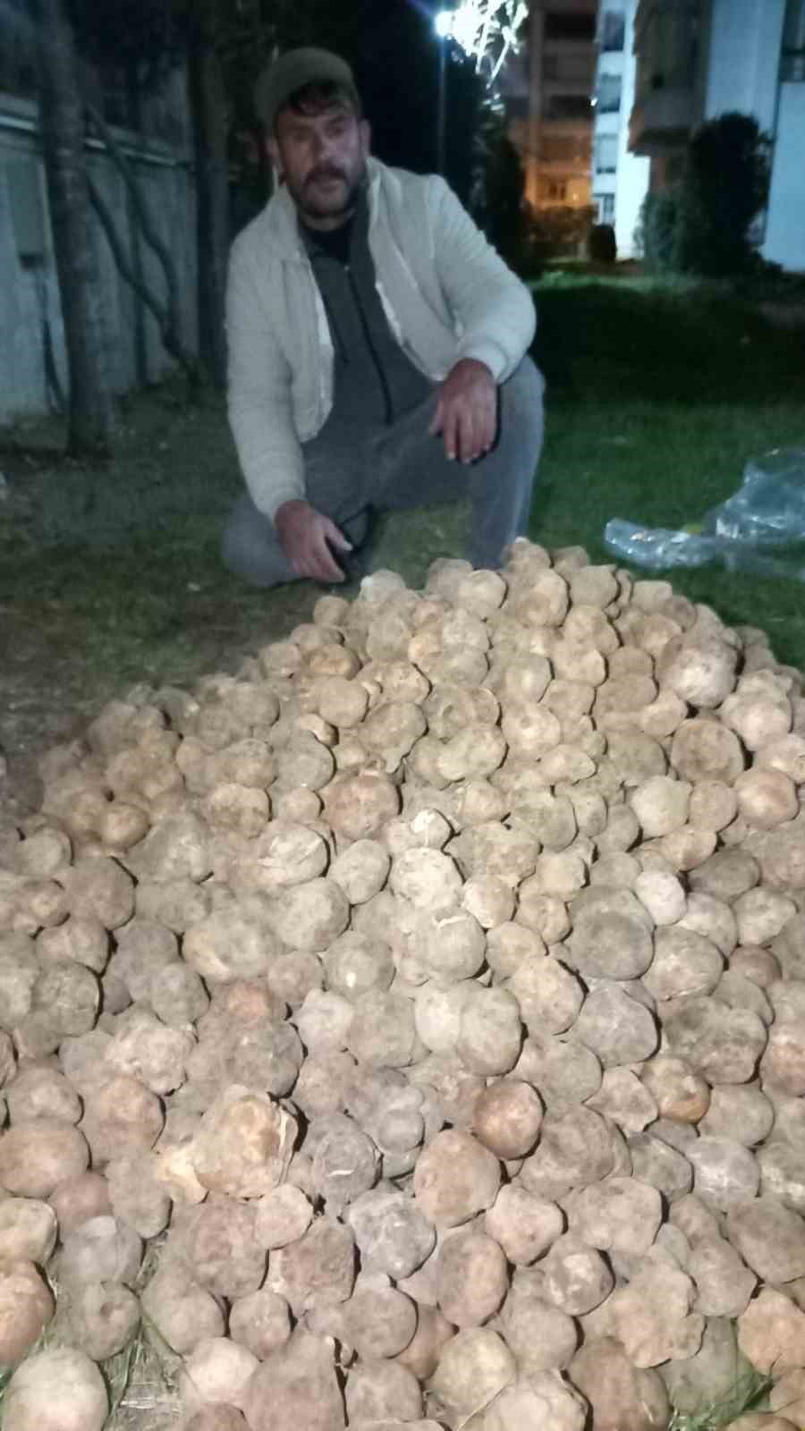 dolaman kurdu gunde 60 bin liralik mantar buluyor 4 sIIPb9Mm