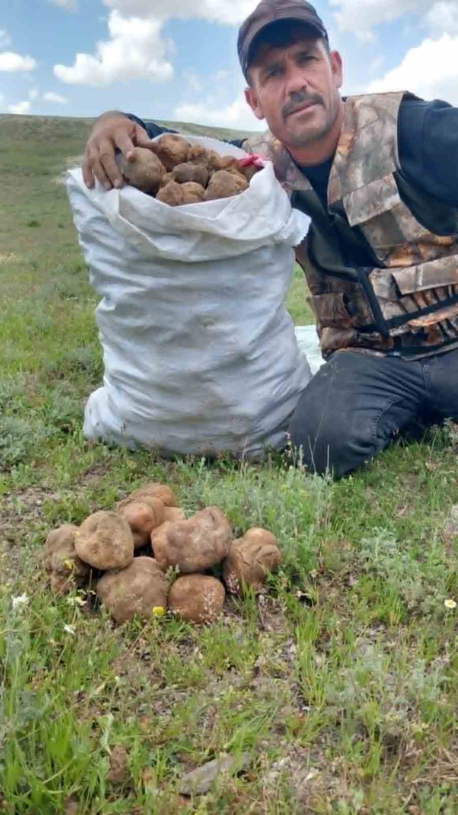 dolaman kurdu gunde 60 bin liralik mantar buluyor 5 TTzE3fXH