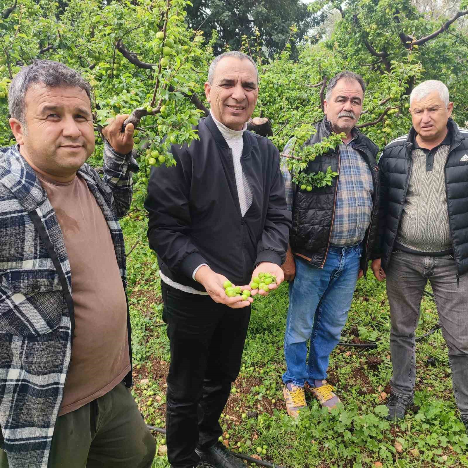 dolu afeti sonrasi hasar tespit calismalarina baslandi 1 FYvzeSFp