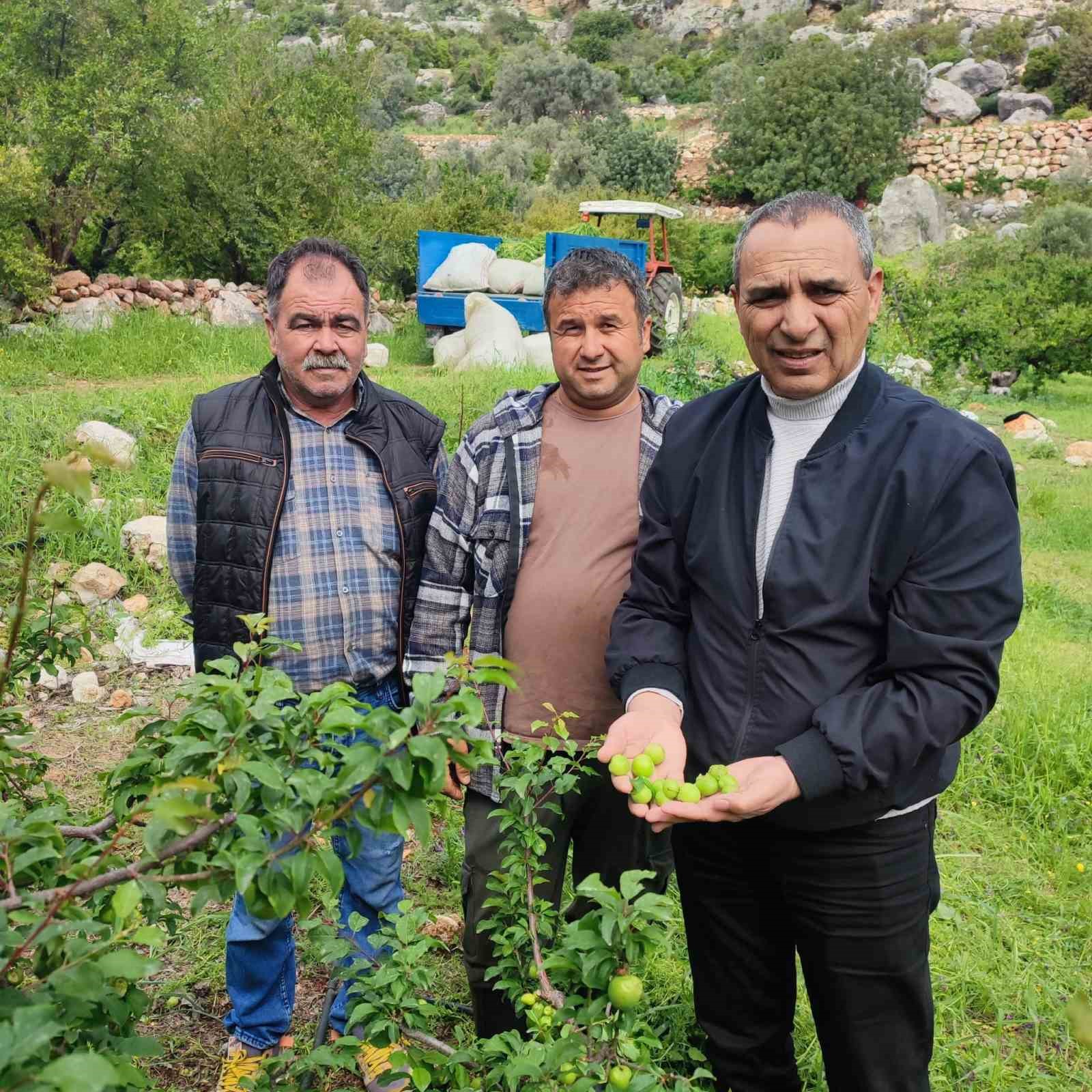 dolu afeti sonrasi hasar tespit calismalarina baslandi 2 dlzKeMje