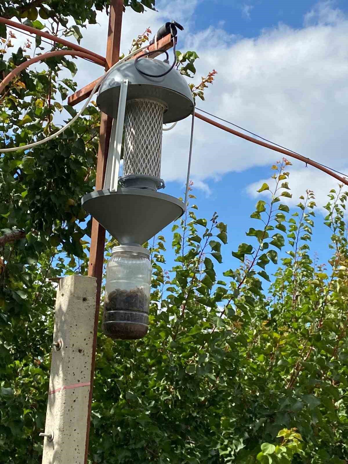 domates guvesi mantar sinegi ve elma ic kurduna isik tuzagi 3 VzmXnZgT